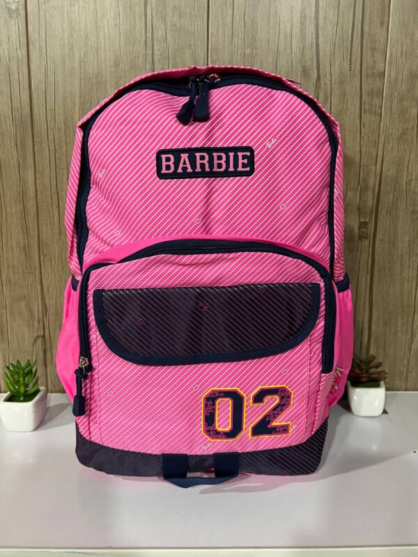 School & College Bag (Code: Rewaj-052)